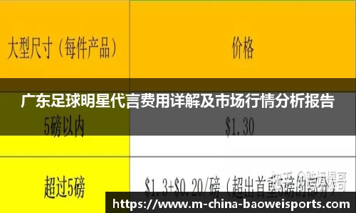 广东足球明星代言费用详解及市场行情分析报告